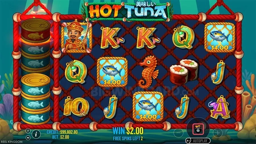 Live Roulette at sg8